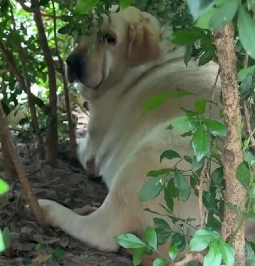 먹이 주기 금지.jpg_2.webp