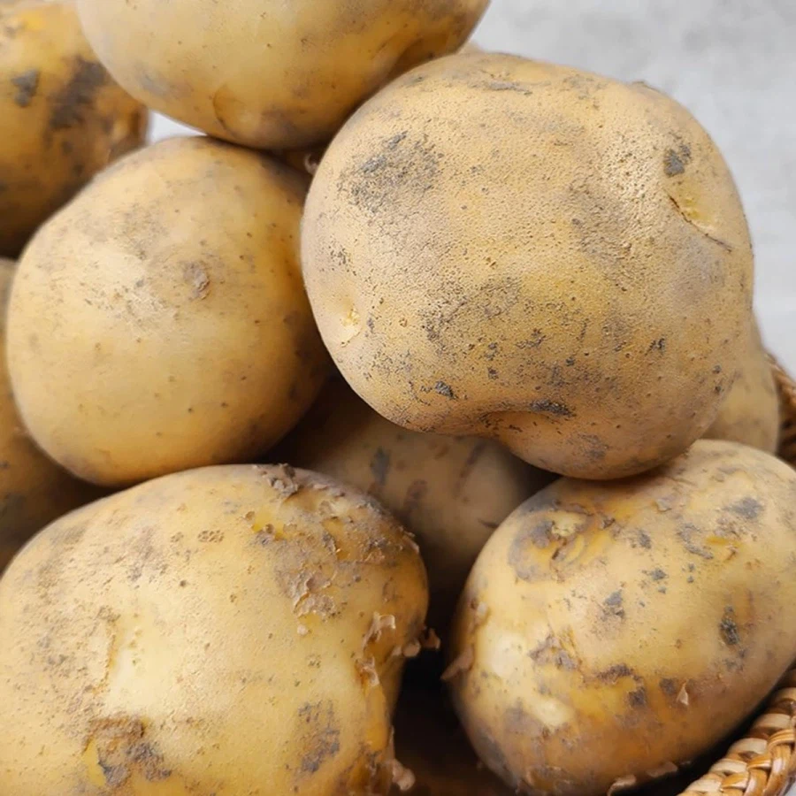 정말 복불복의 식량이였던 것_1.webp