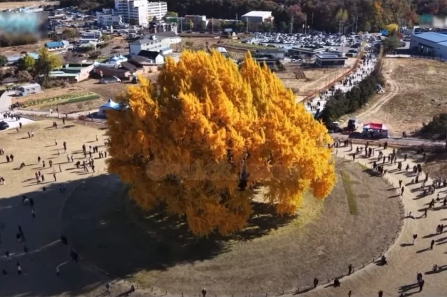 ???:어머 동안이세요_1.webp