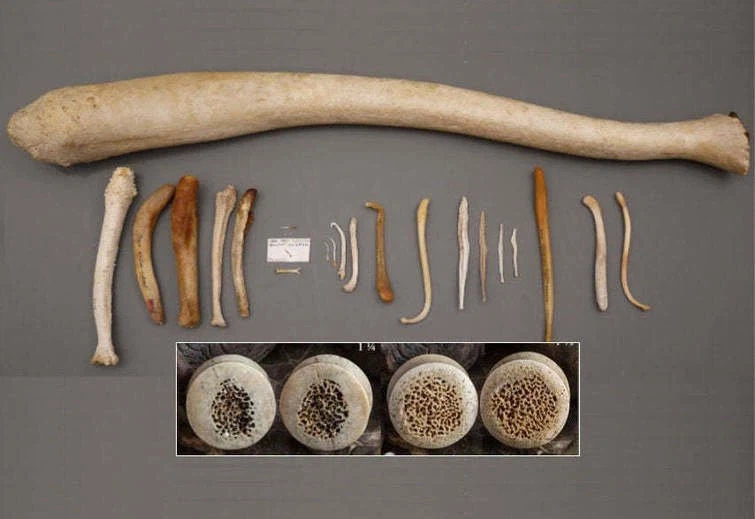 고추사진 보여줄겡_2.webp