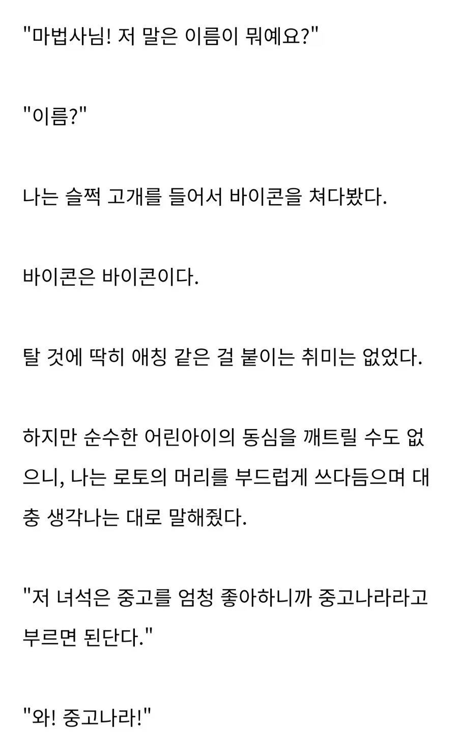 어느 마법사가 타는 말 이름이 중고나라인 이유.jpg_1.webp