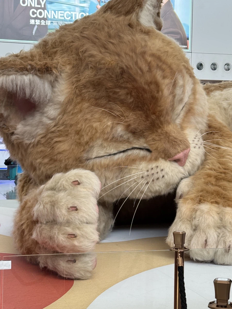 홍콩 공항에 있다는 것_4.webp