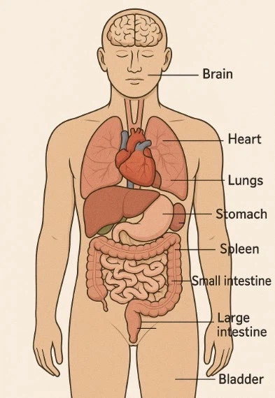 엄청 비싼데도 수요가 많은데 의외로 거래량이 적은 진짜 특수부위들_1.webp