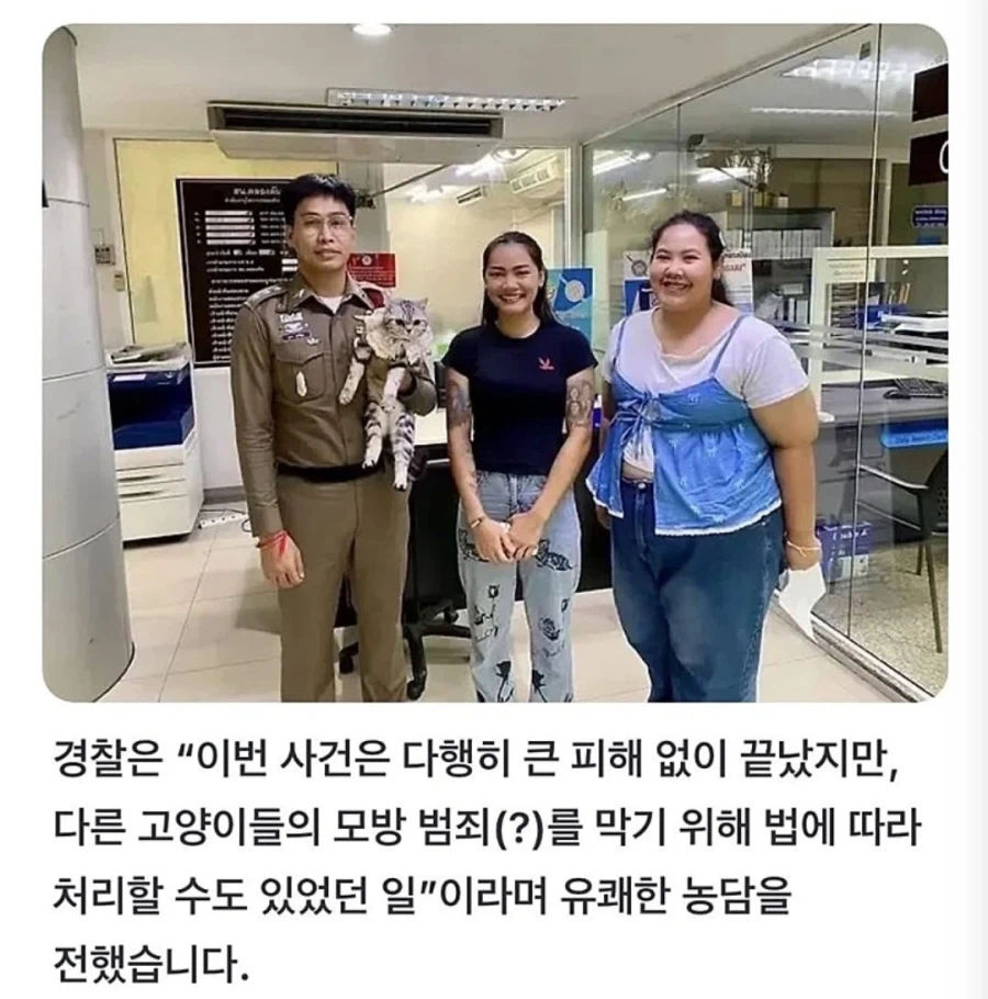 경찰 공무 집행 방해죄로 잡힌 고양이.jpg_6.webp