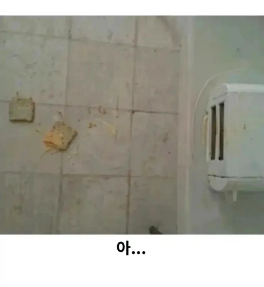 토스트기에 치즈를 얹어 구워내는 방법_2.webp