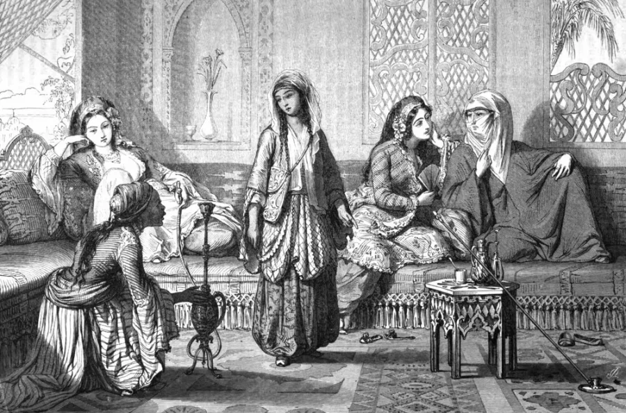 하렘의 오해와 진실_2.webp