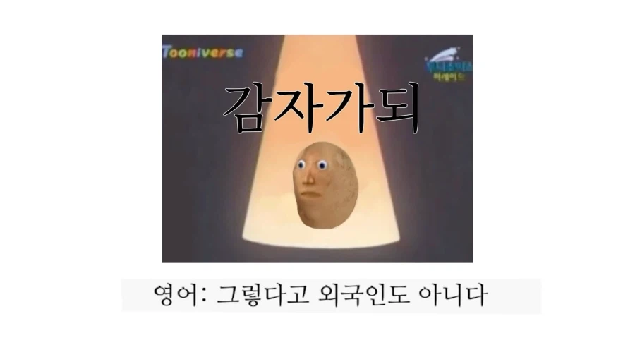 모의고사 후기_2.webp