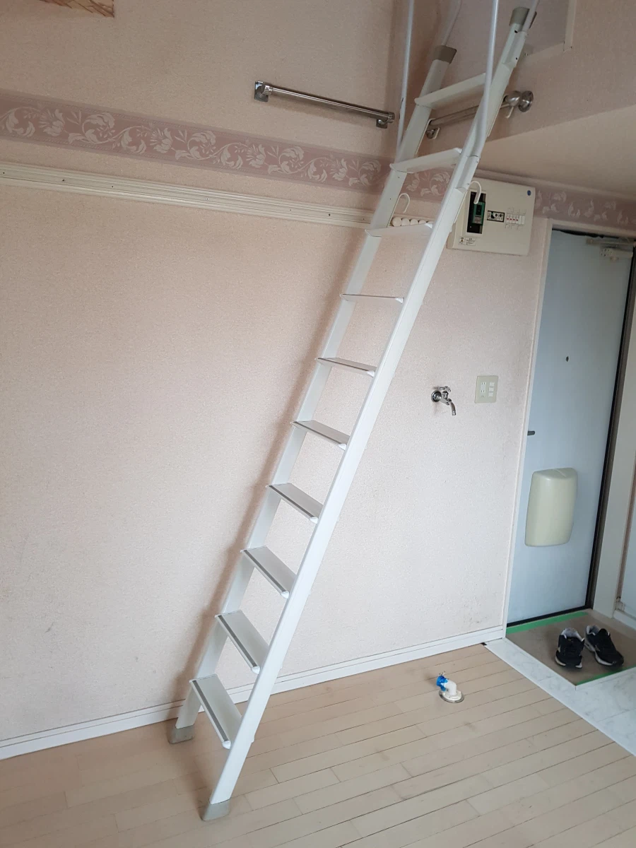 아마 내 인생에서 가장 마음 편했을 때_2.webp