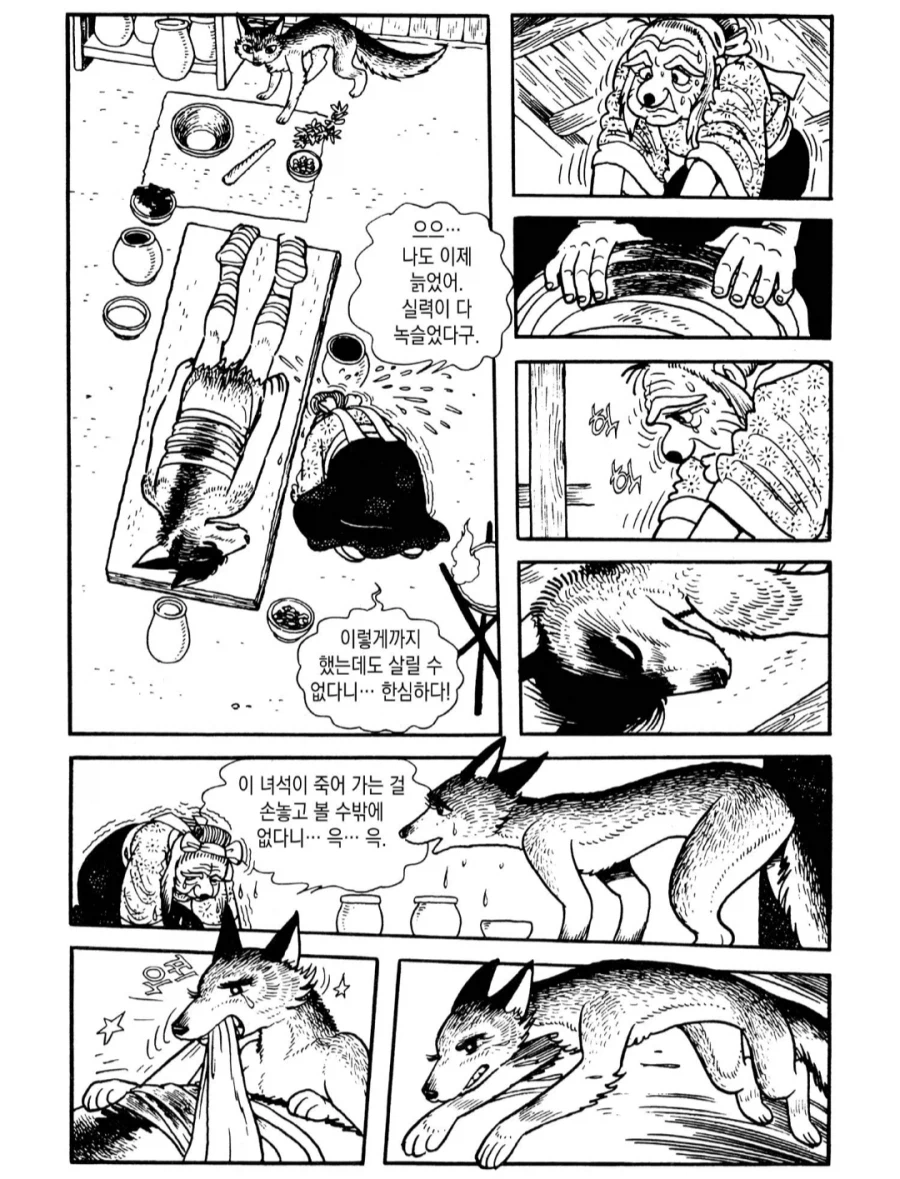 할머니와 암컷늑대의 핥기시합_1.webp