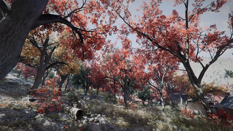 여기 캐나다 라는데 한번 가보고싶네.._2.webp