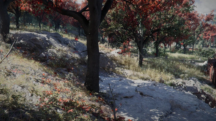 여기 캐나다 라는데 한번 가보고싶네.._4.webp