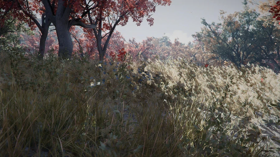 여기 캐나다 라는데 한번 가보고싶네.._5.webp