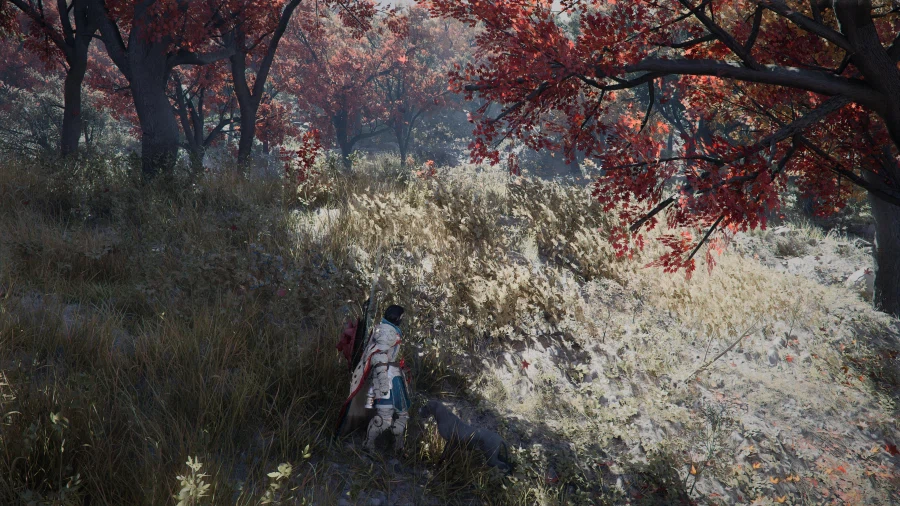 여기 캐나다 라는데 한번 가보고싶네.._6.webp