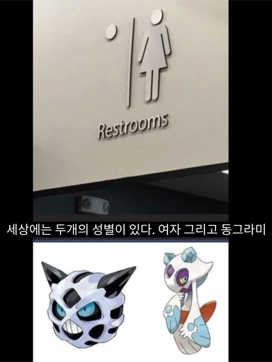 두개의 성별_1.webp