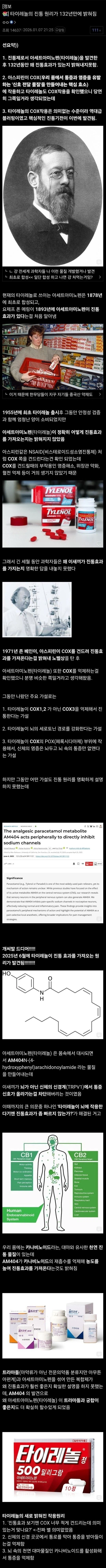 132년만에 밝혀진 타이레놀의 진통 원리_1.webp