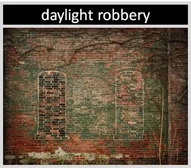 햇빛에도 세금을 매긴 이야기_4.webp