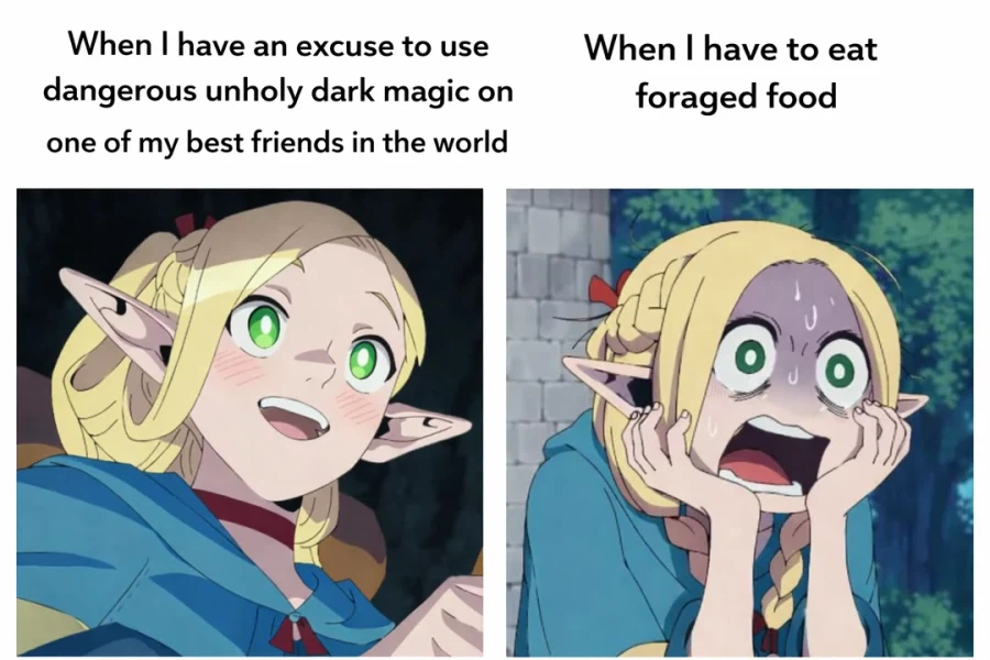 던전밥)마르실도 ㅁㅊㄴ인 이유_1.webp