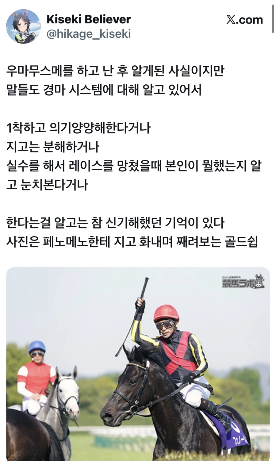 말들도 경마시스템을 알고있다.jpg_1.webp