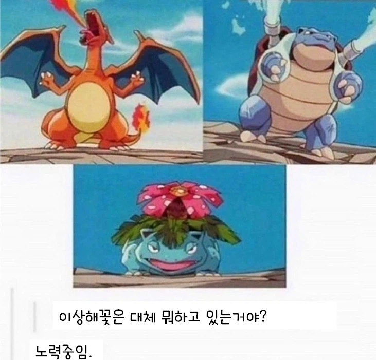 이상해꽃은 대체 뭐하는거야?_1.webp