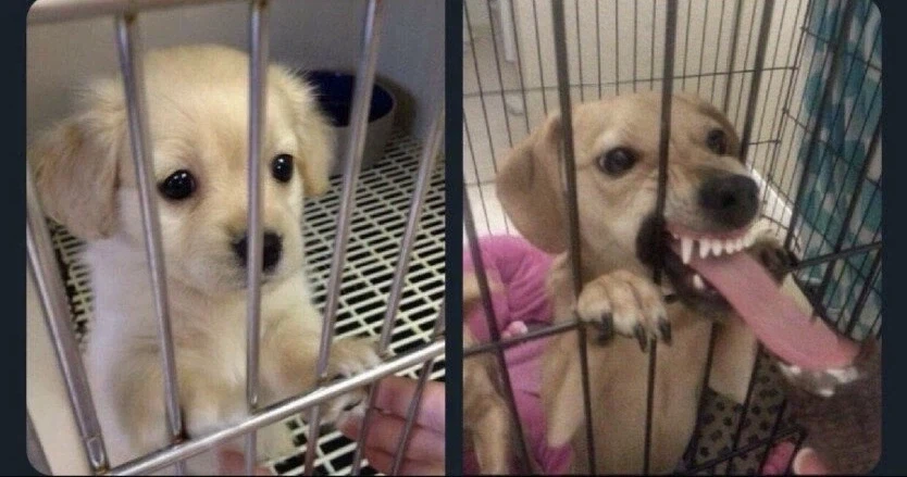 그럴듯한 서인영 폭로_3.webp