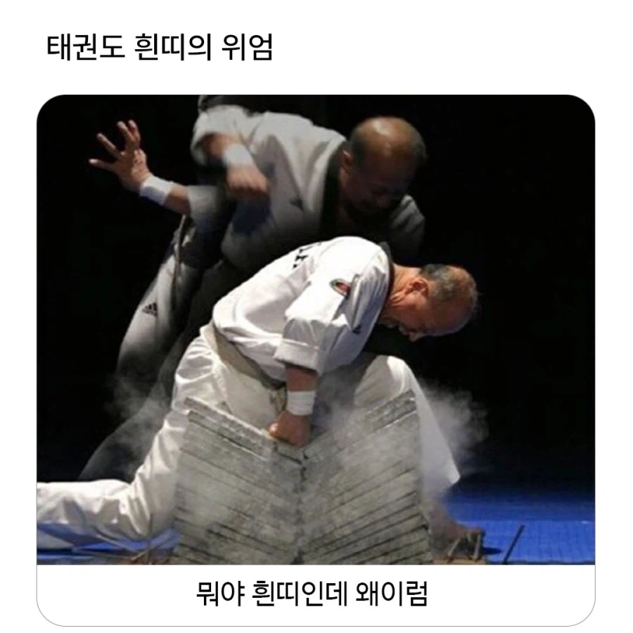 태권도 흰띠의 위엄_1.webp