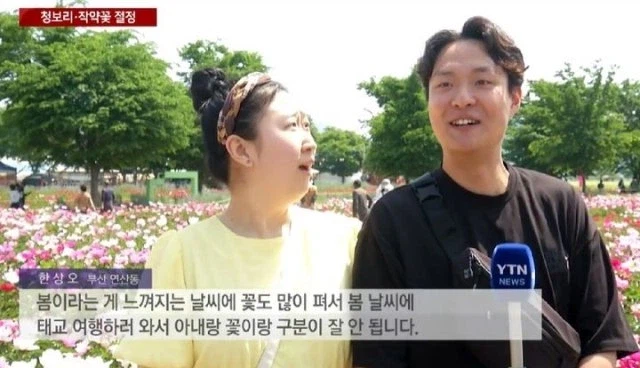 봄꽃을 보는 커플들_1.webp