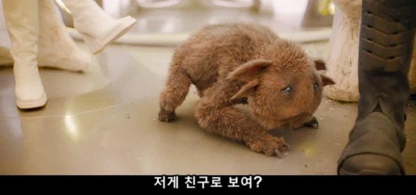 철부지 아들 땜에 속 터지는 엄마_20.webp