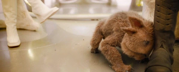 철부지 아들 땜에 속 터지는 엄마_22.webp