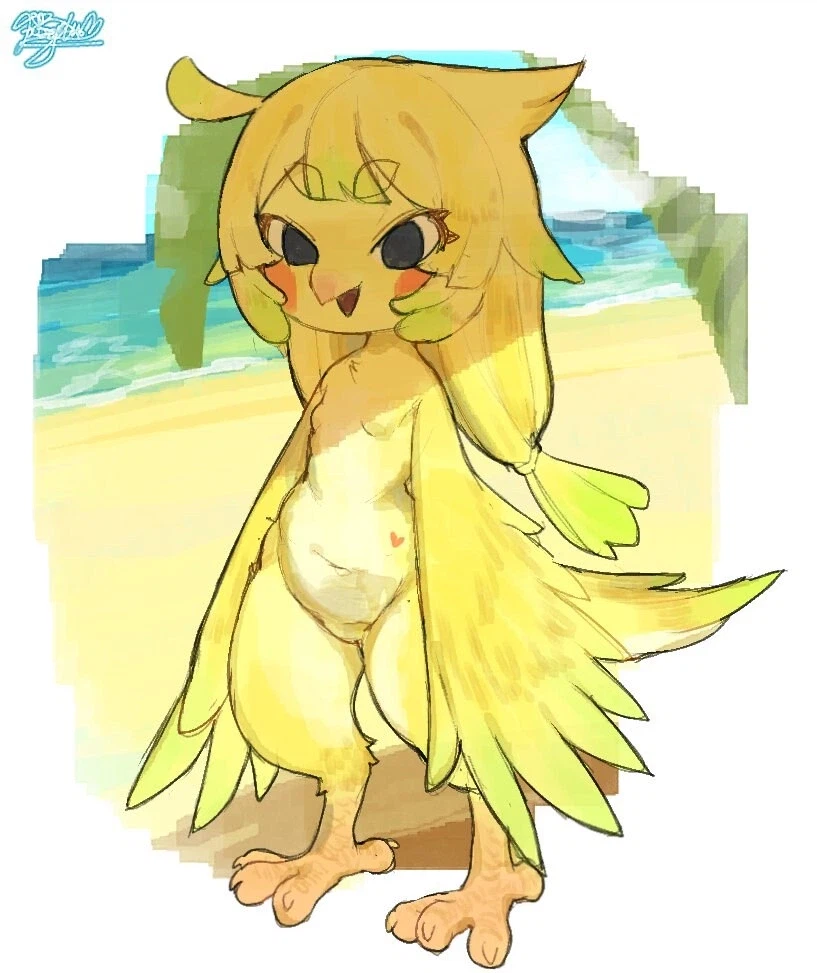 조류 퍼리는 작가에 따라서 묘사차이가 크더라_1.webp