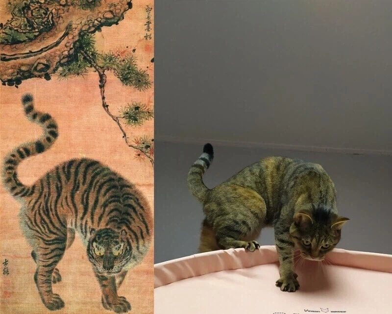 우리 조상님의 고양이 묘사 특..._3.webp