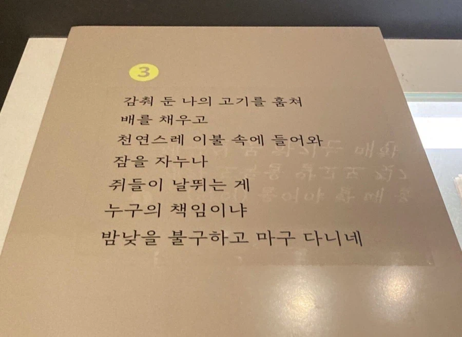 우리 조상님의 고양이 묘사 특..._4.webp