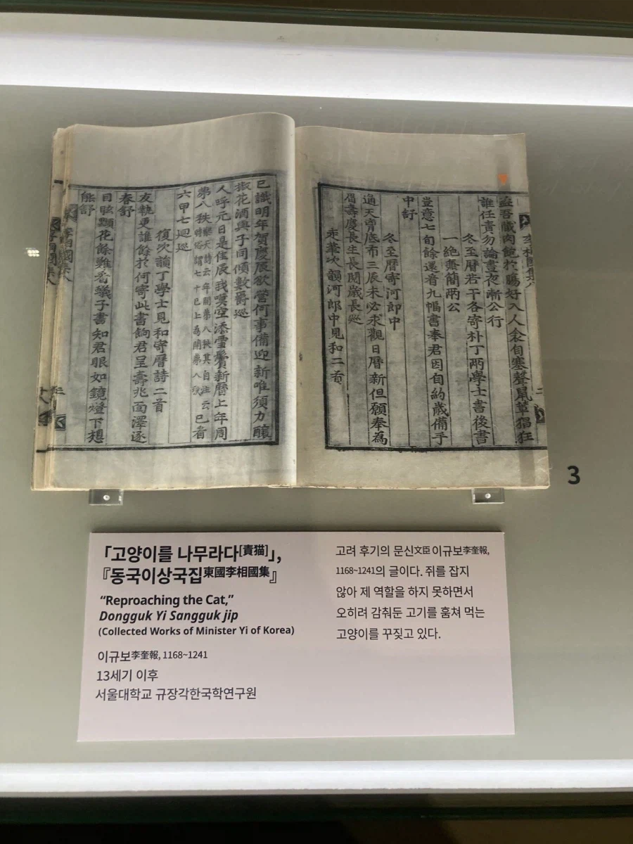 우리 조상님의 고양이 묘사 특..._5.webp