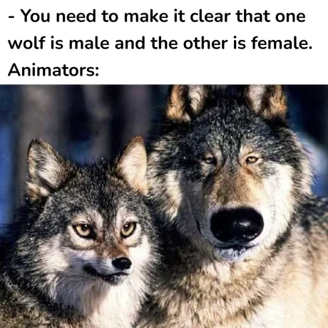 애니메이터들이 동물 캐릭터 성별 구분하는 방법_1.webp