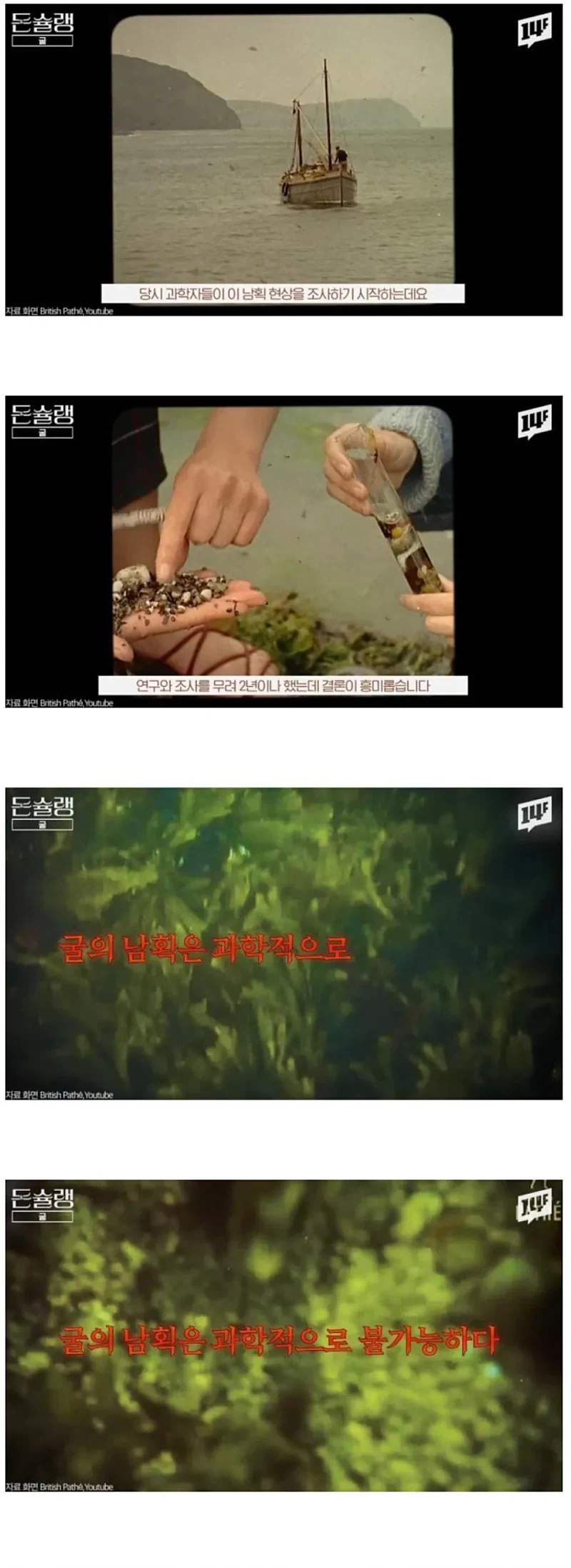 서양에서 굴이 비싼.EU_9.webp