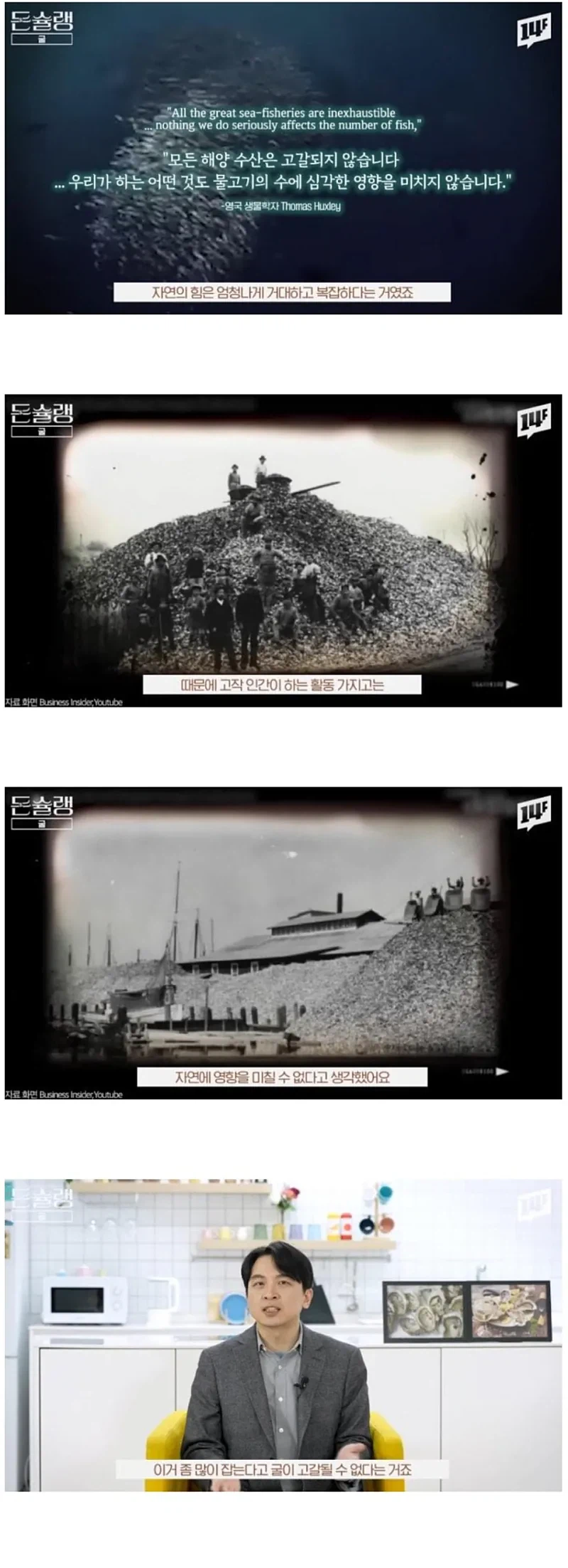 서양에서 굴이 비싼.EU_11.webp