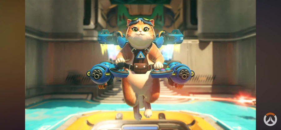 누노체 말고_1.webp