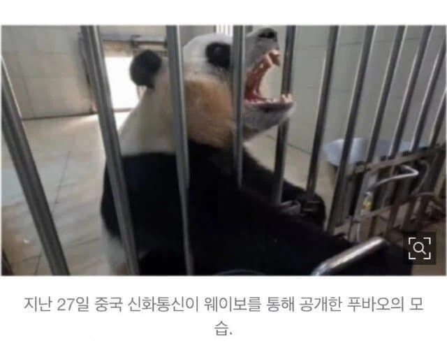 본녀는 자연농원의 금지옥엽이다!_1.webp