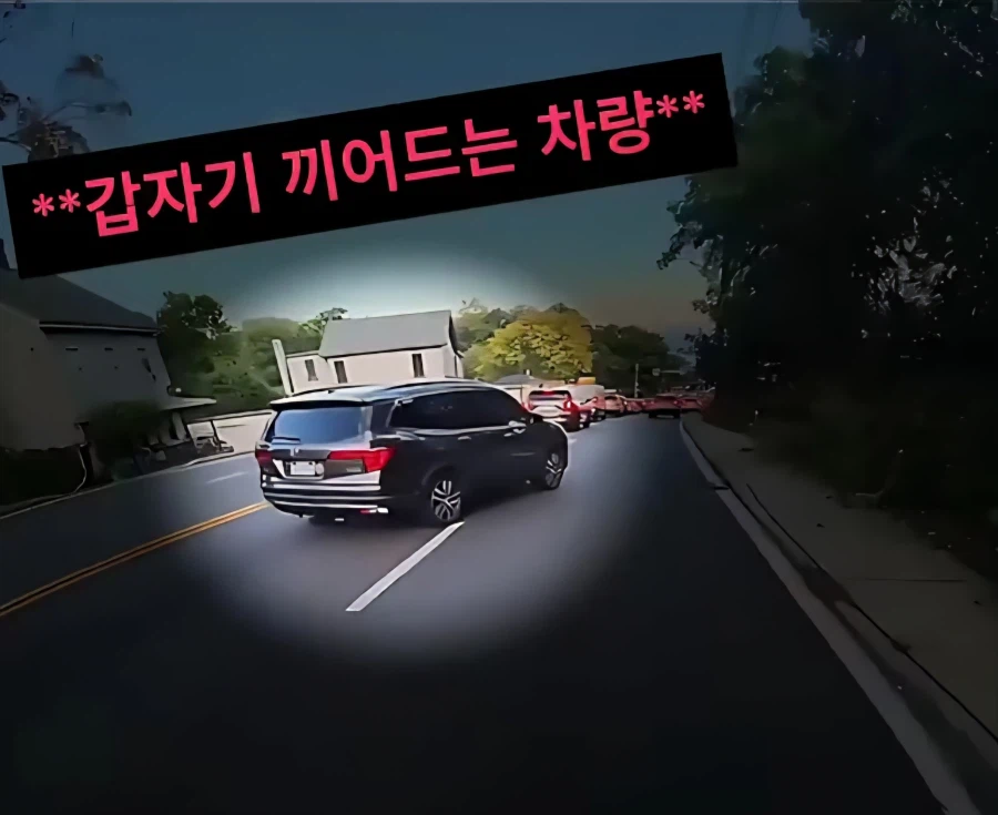 아니 미친 머야 또라인가 진짜_1.webp