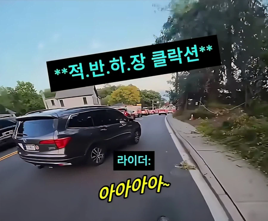 아니 미친 머야 또라인가 진짜_2.webp