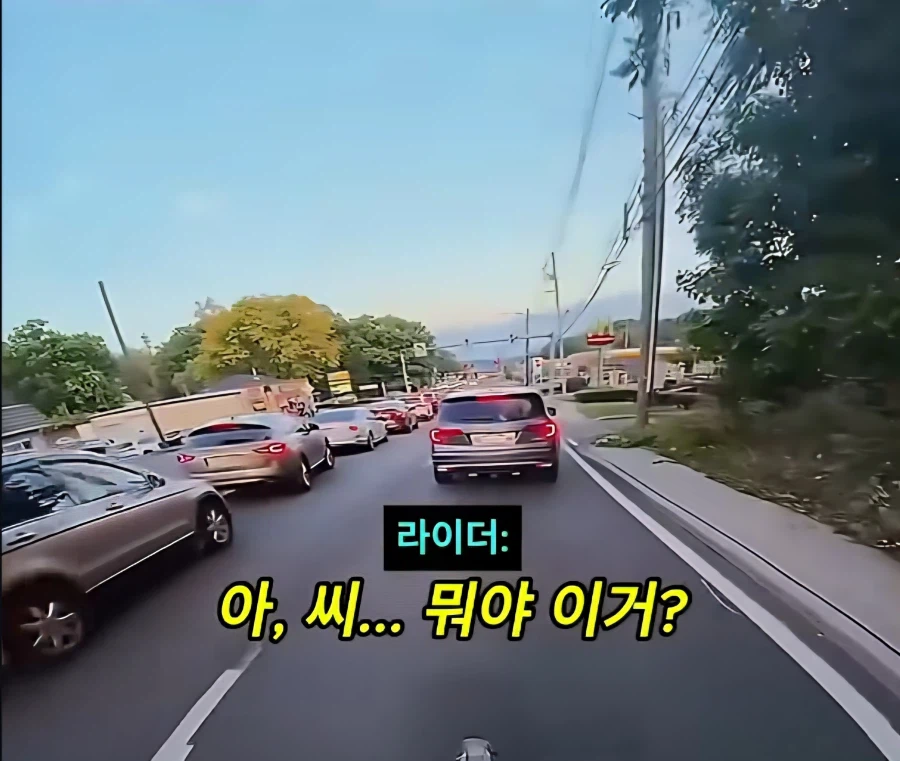 아니 미친 머야 또라인가 진짜_3.webp