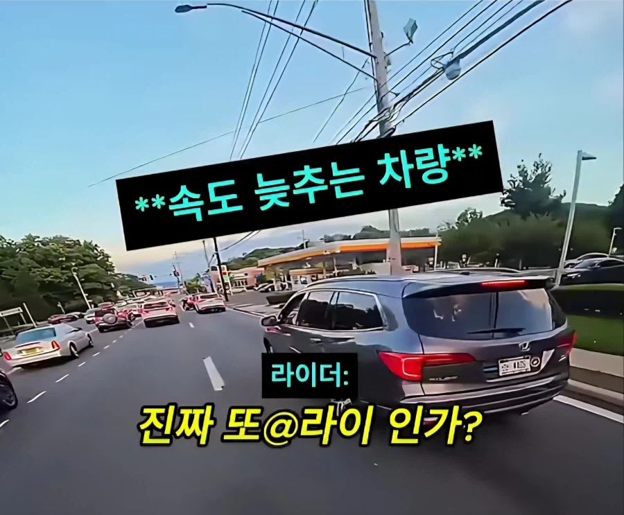 아니 미친 머야 또라인가 진짜_5.webp