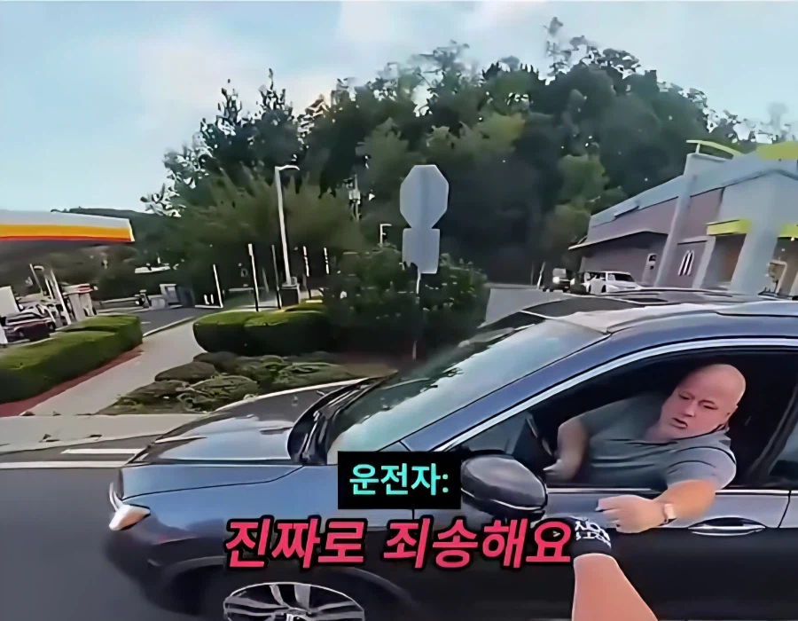 아니 미친 머야 또라인가 진짜_11.webp