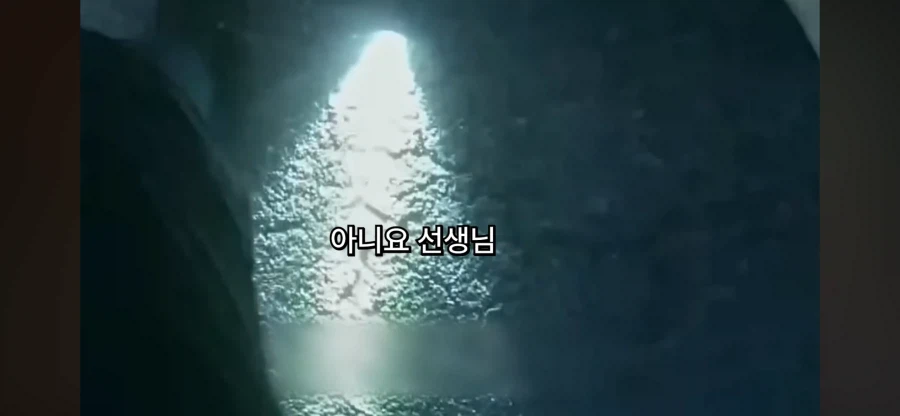 미국식 예절주입_9.webp