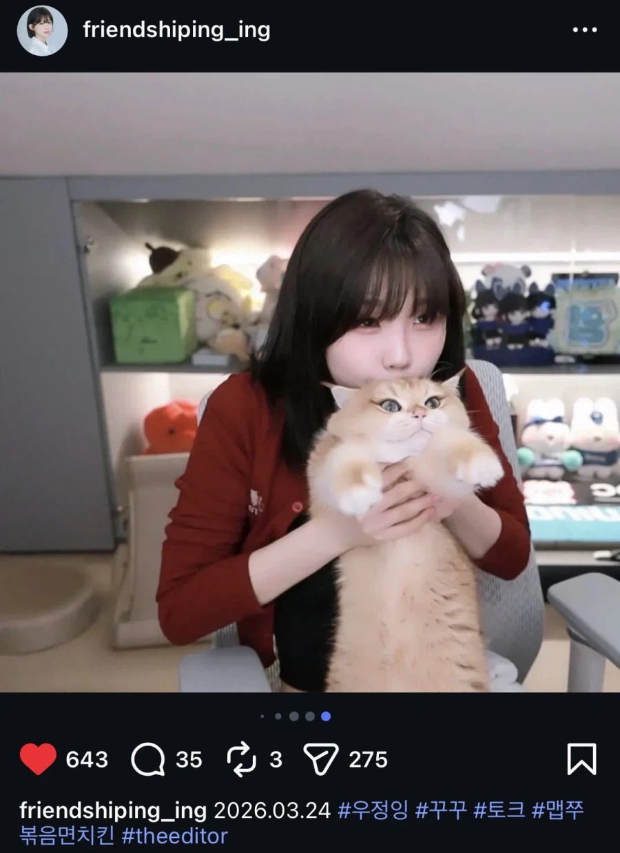 영혼 빨리는 고양이_1.webp