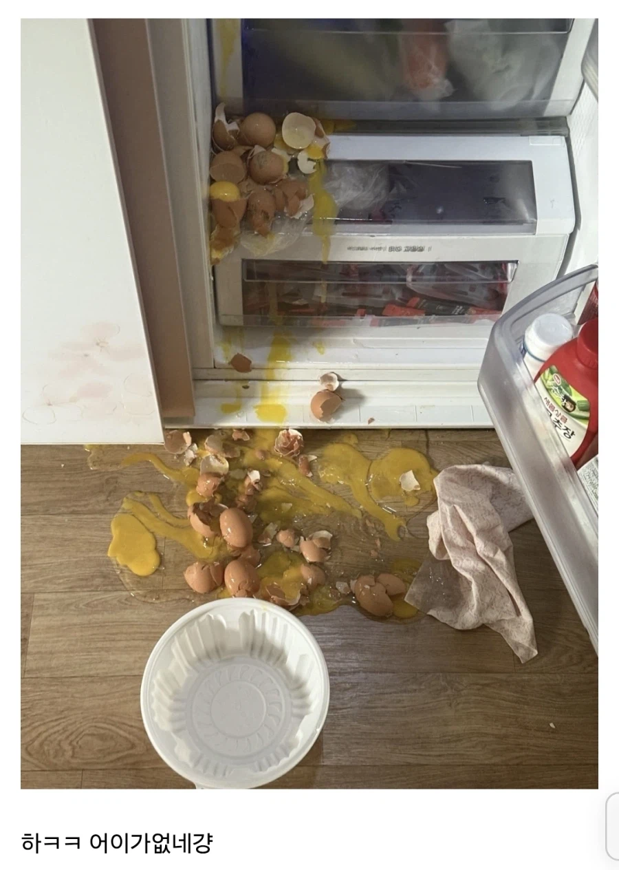 날계란 쏟았을 때 제일 먼저 해야 하는 거.egg_1.webp