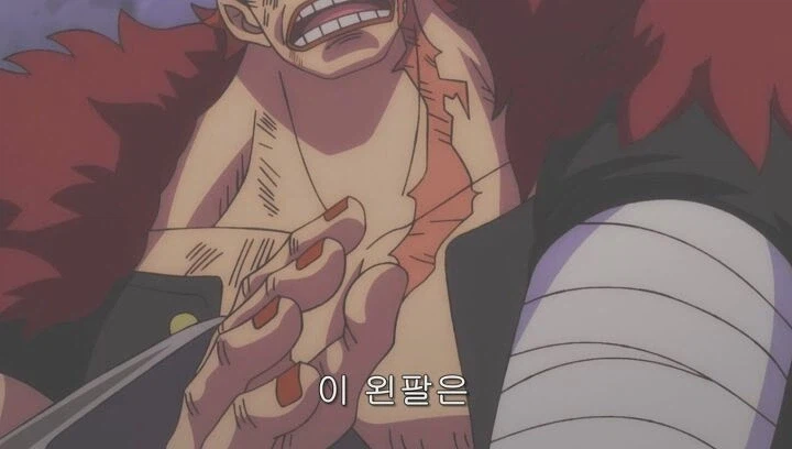 키드한테 자비를 많이 베풀었다는 샹크스.jpg_1.webp