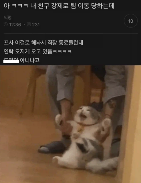 강제로 팀이 바뀐 직원의 프사_1.webp