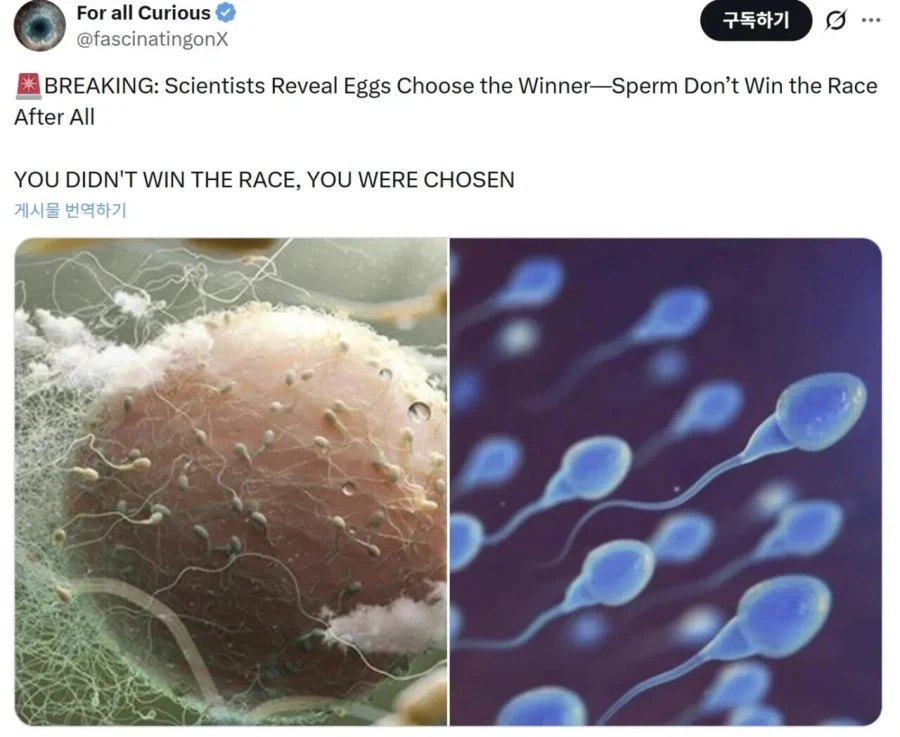 정자 난자 수정에 대한 새로운 사실 ㄷㄷㄷ_1.webp