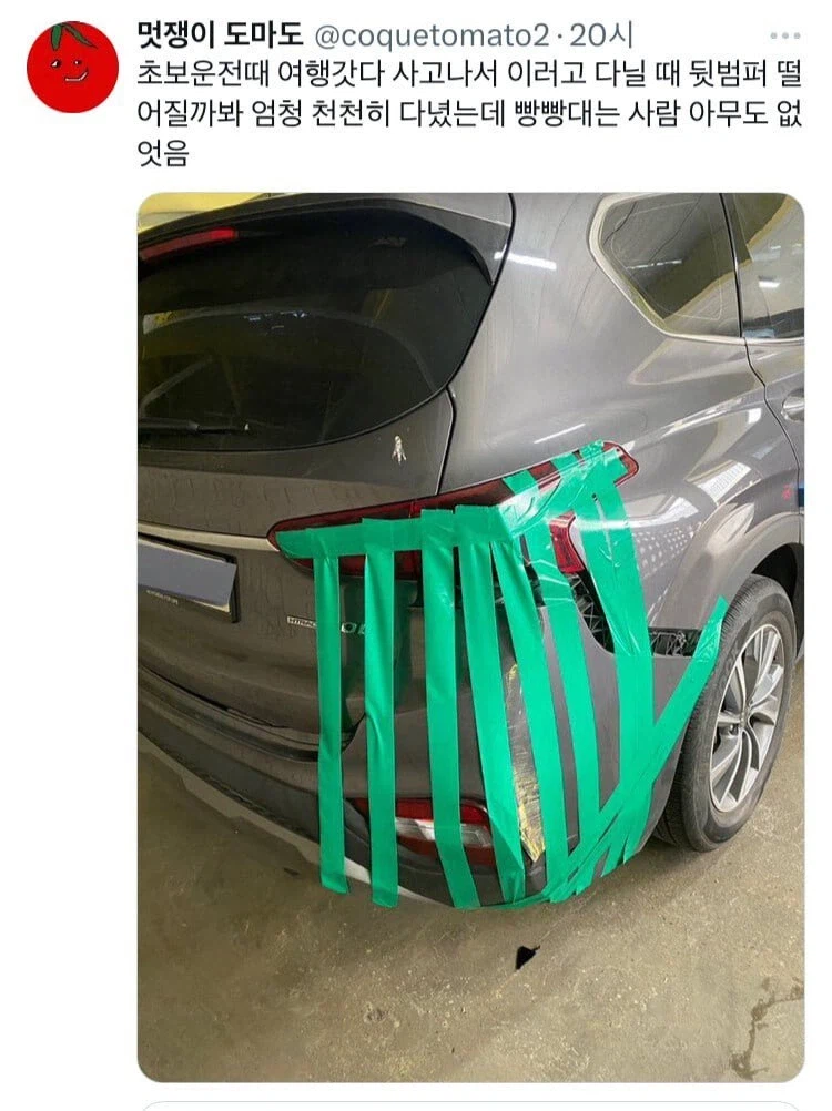 도로에서 찐광기를 만난 사람들 jpg._1.webp