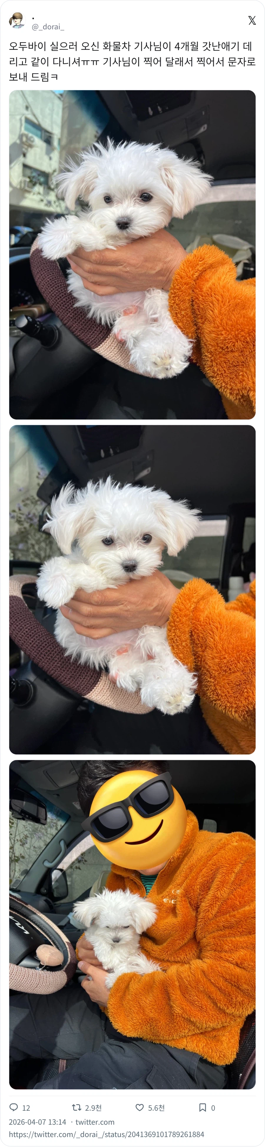 화물차 기사님이 데려온 강아지_1.webp